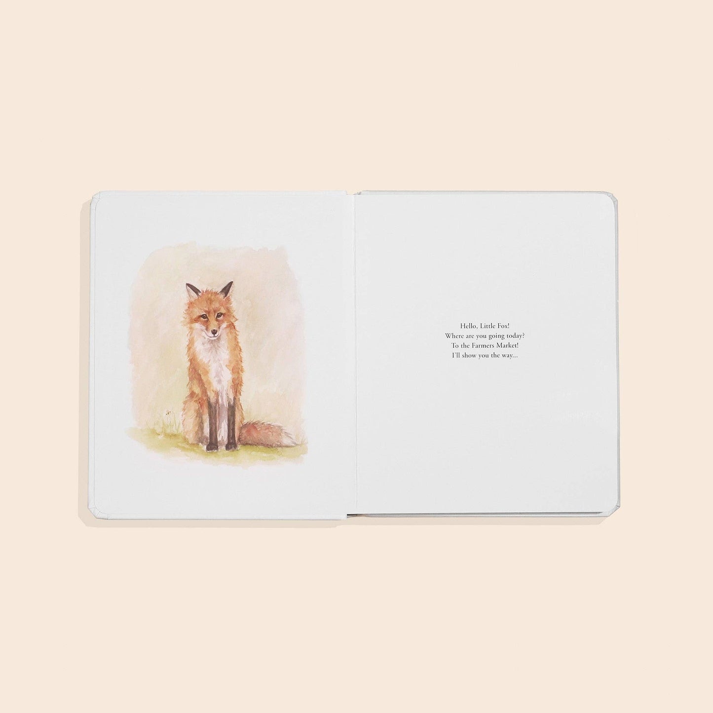 Our Little Adventure to the Farmers Market Board Book