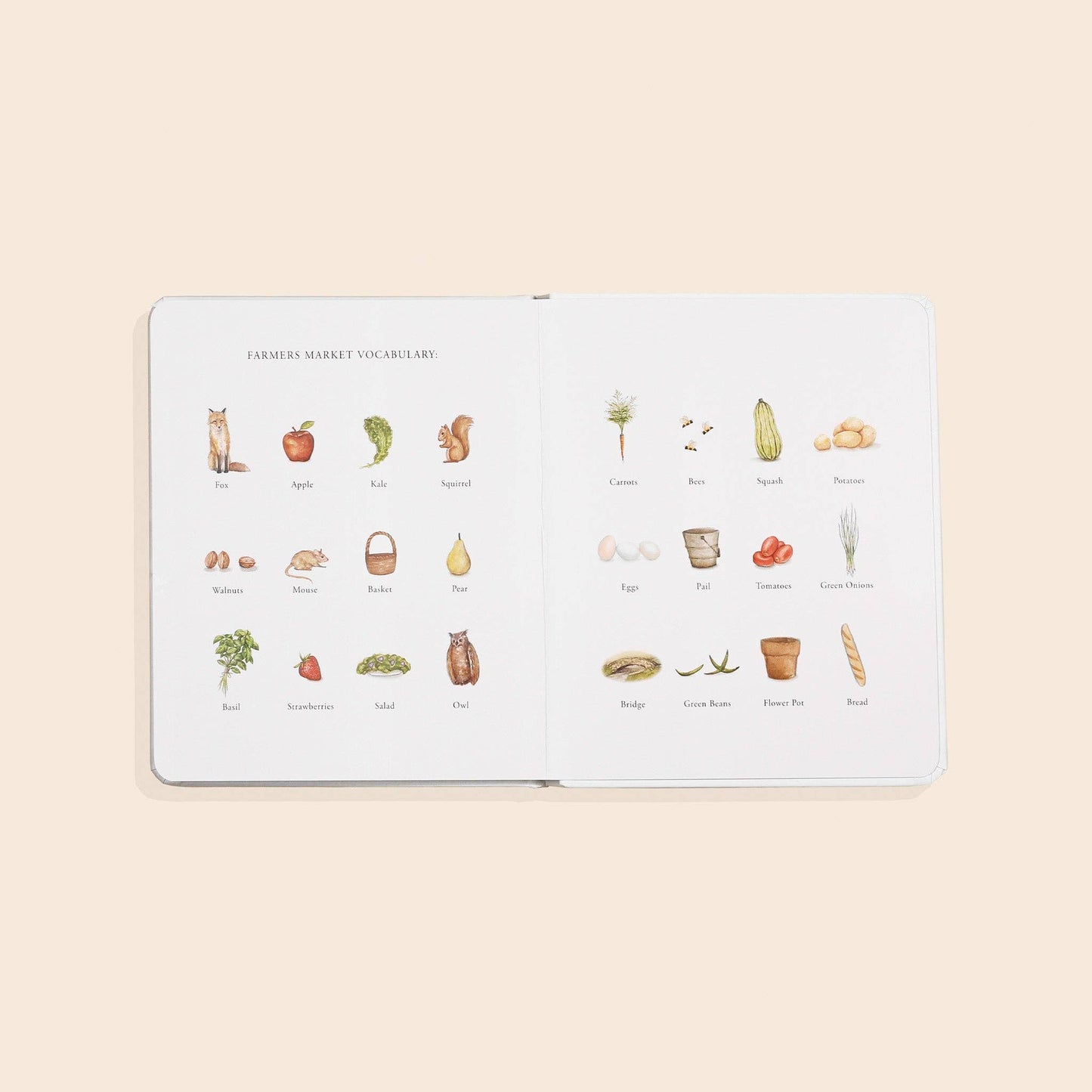 Our Little Adventure to the Farmers Market Board Book