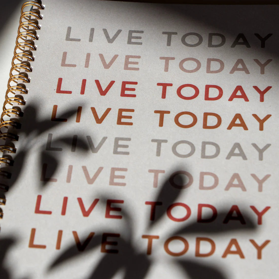 Live Today Journal Notebook